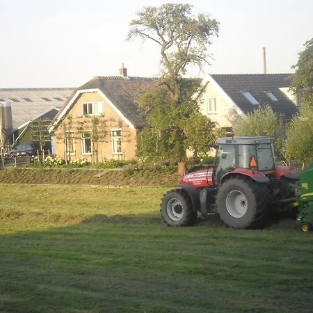 Cornelly Ferienhaus *